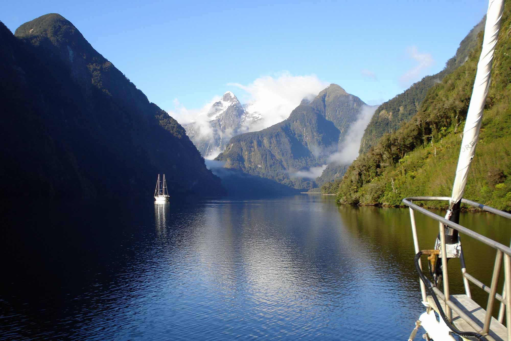 Your Complete Guide to Milford Sound Day Trips