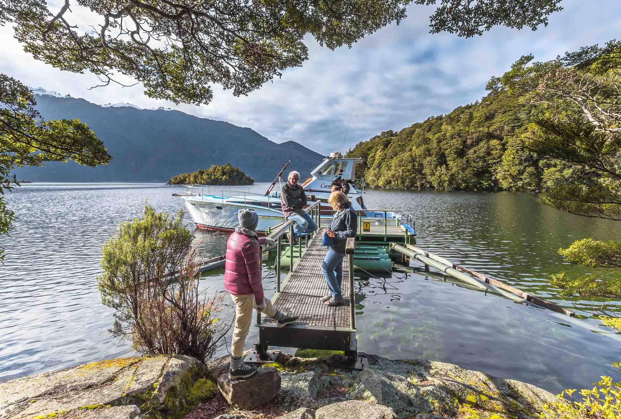 The Best Time to Visit Fiordland