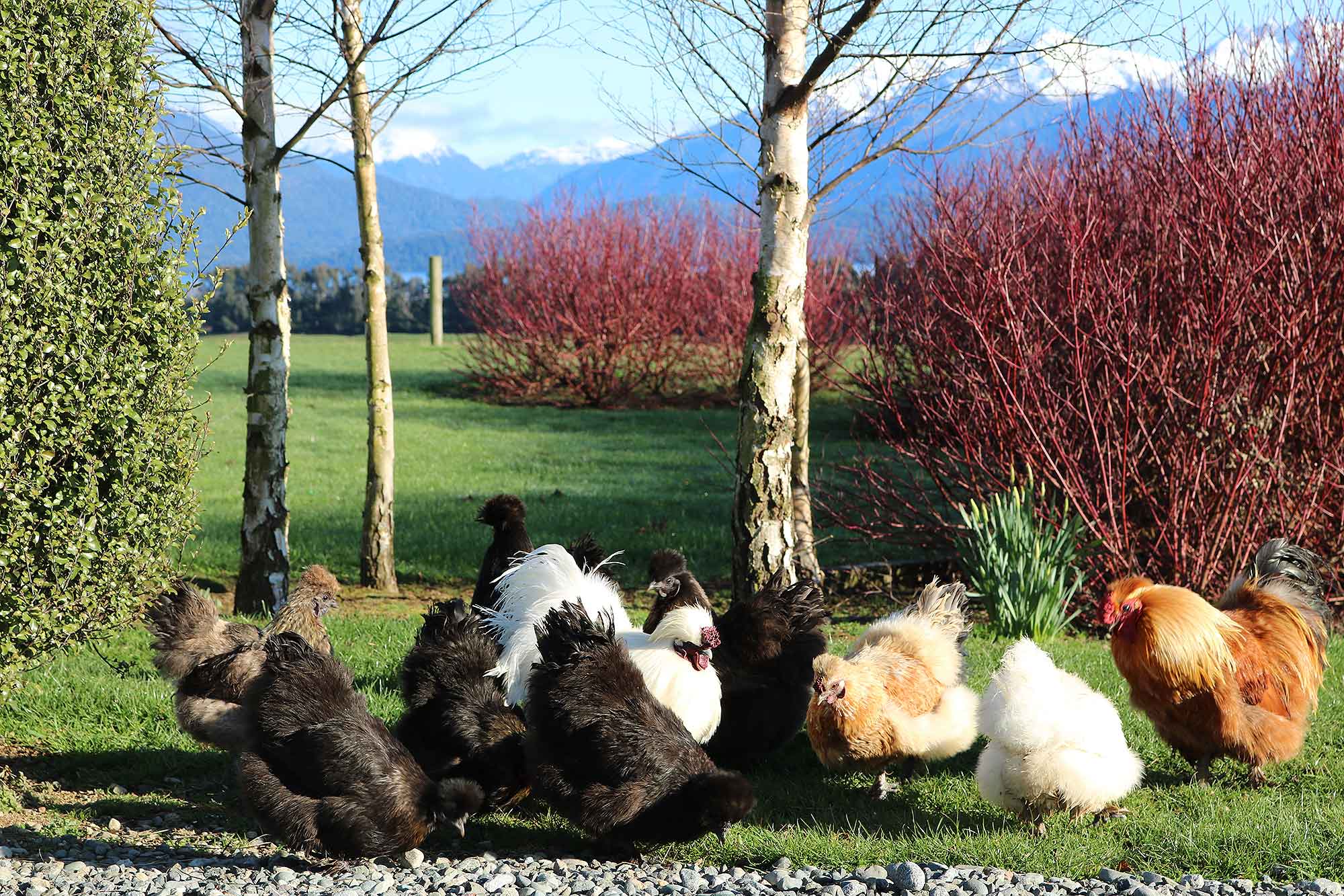 Fiordland activities